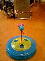 img91527.jpg