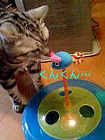 img55856.jpg