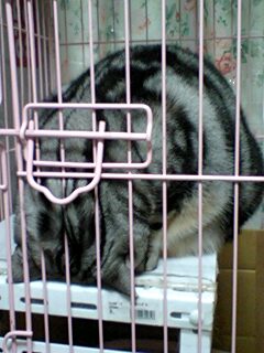 070210_0726~0001.jpg