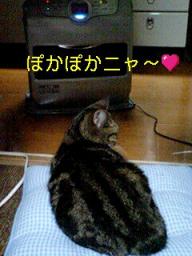 2007-11-18 18:24:47