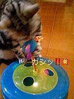 img13955.jpg