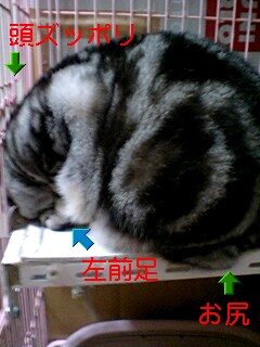 070210_0728~0001-0001.jpg