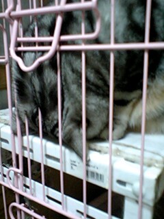 070210_0728~0002.jpg