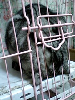 070210_0728~0003.jpg