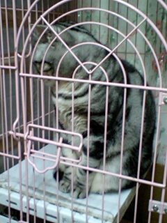 070210_0740~0001.jpg