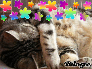 43697062_804480.gif