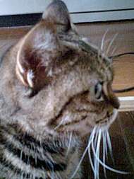img11989.jpg