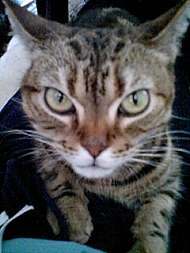 img18220.jpg