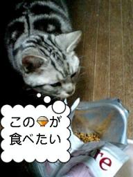 2007-11-27 02:30:36