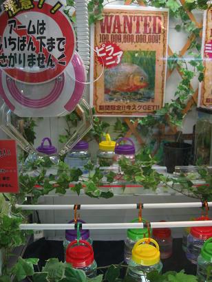 149_4921.JPG
