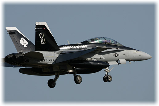 VMFA(AW)-225 "Vikings"