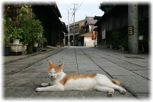 竹原町並み保存地区