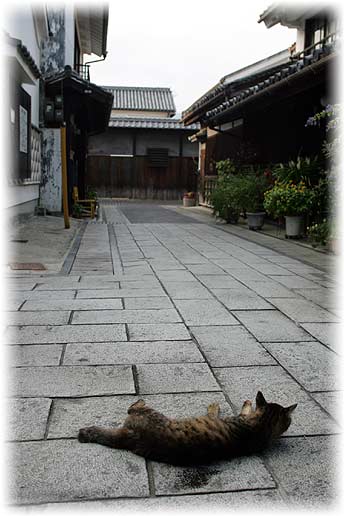 竹原町並み保存地区