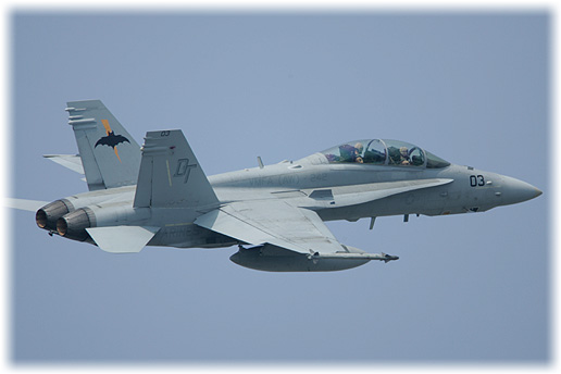 VMFA(AW)-242"Bats"