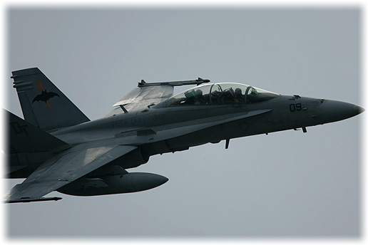 VMFA(AW)-242"Bats"