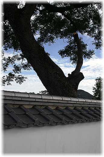 山口県萩市