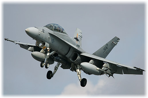 VMFA(AW)-242"Bats"