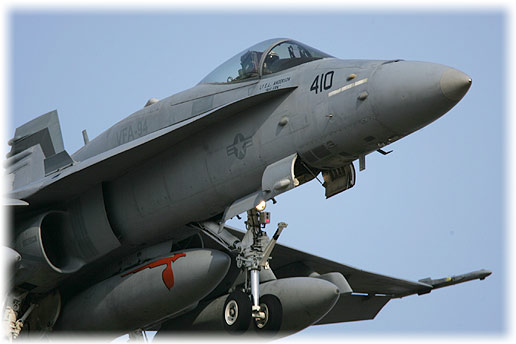 VFA-94"Mighty Shrikes"