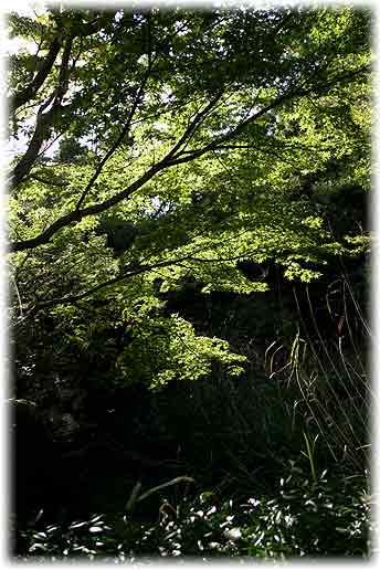 山口県萩市