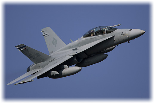 VMFA(AW)-225"Vikings"