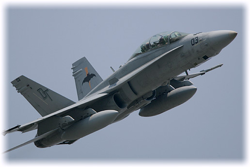VMFA(AW)-242"Bats"