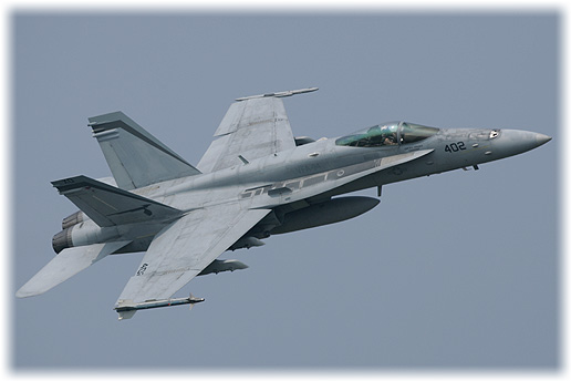 VFA-94"Mighty Shrikes"