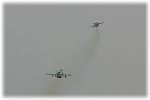 VMFA(AW)-224"Fighting Bengals"