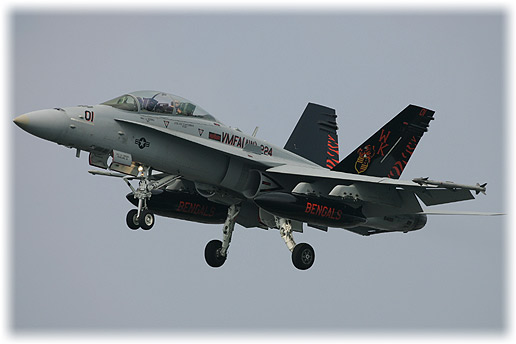 VMFA(AW)-224"Bengals"