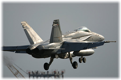 VFA-94"Mighty Shrikes"