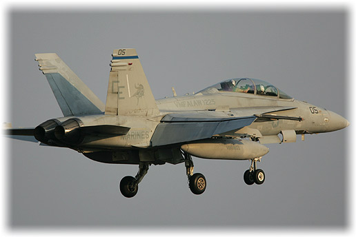VMFA(AW)-225"Vikings"