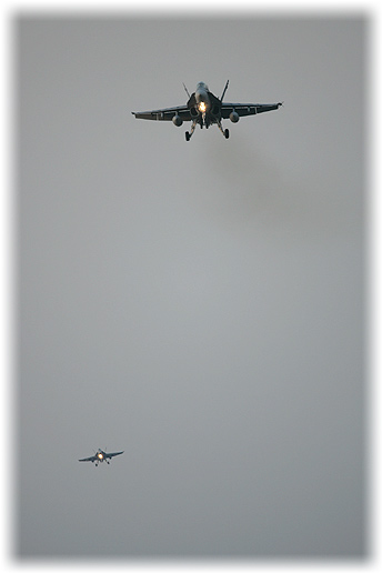 VMFA(AW)-224"Fighting Bengals"