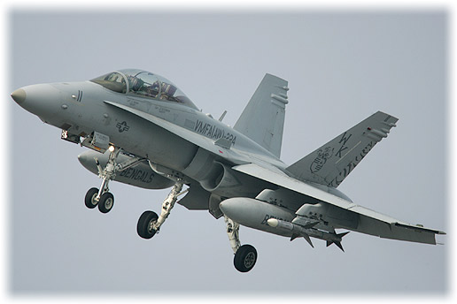 VMFA(AW)-224"Bengals"