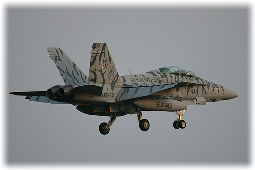 VMFA(AW)-224"Fighting Bengals"