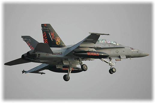 VMFA(AW)-224"Bengals"