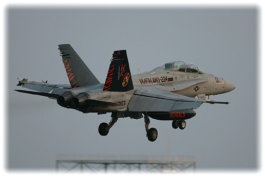 VMFA(AW)-224"Fighting Bengals"