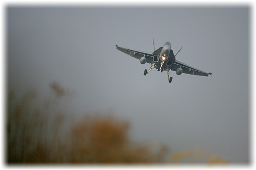 VMFA(AW)-224"Bengals"