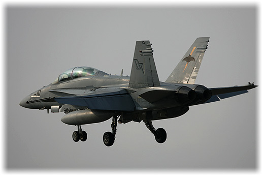 VMFA(AW)-224"Bats"
