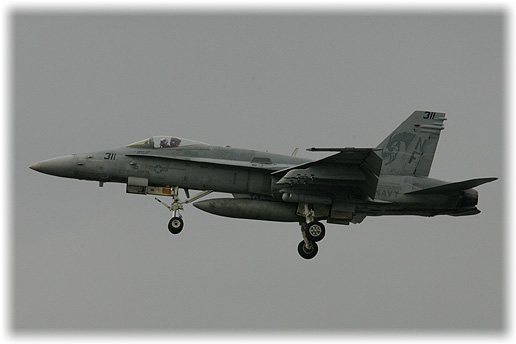 VFA-192"Golden Dragons"