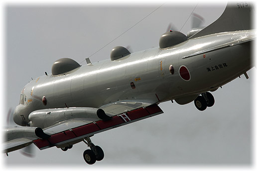 81FS