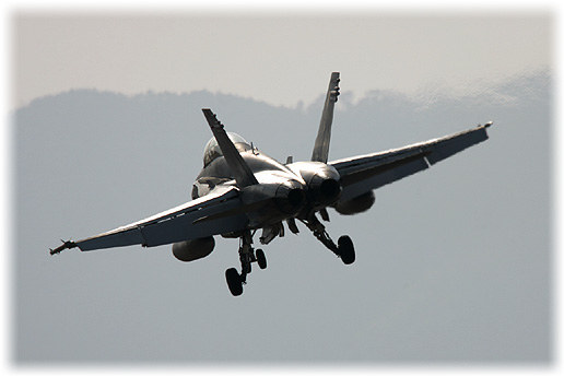 VMFA(AW)-224"Bats"