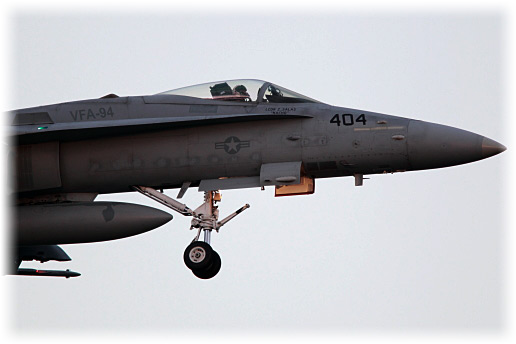 CH8D1231.jpg