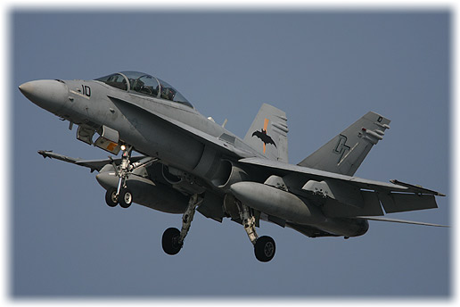 VMFA(AW)-224"Bats"