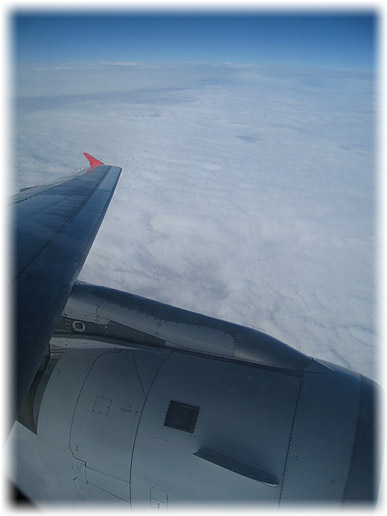 IMG_5675.jpg