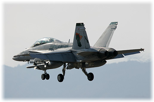 VMFA(AW)-121"Green Knights"