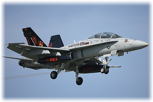 VMFA(AW)-224"Bengals"