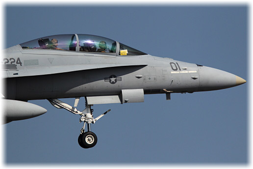 CH8D2382.jpg
