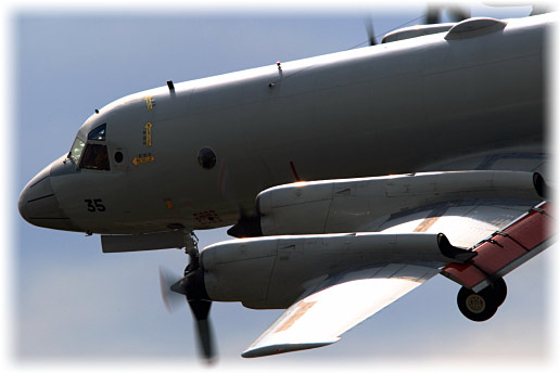 CH8D6563.jpg