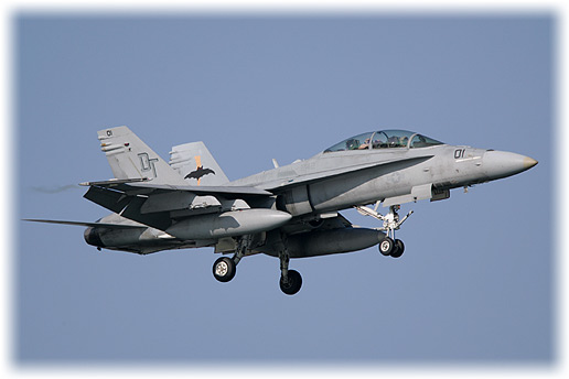 VMFA(AW)-242"Bats"