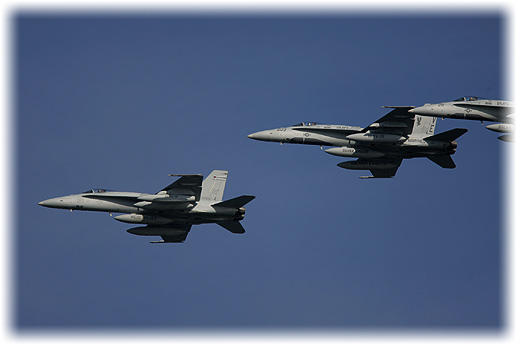VMFA-115"Silver Eagles"
