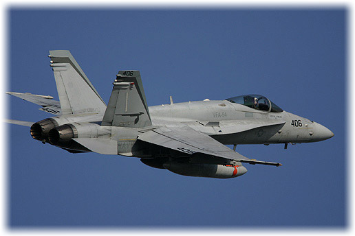 VFA-94"Mighty Shrikes"